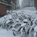 snow 017
